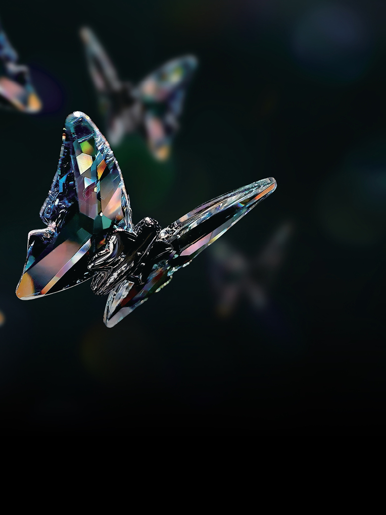 蓝蝶飞舞系列Blue Butterfly